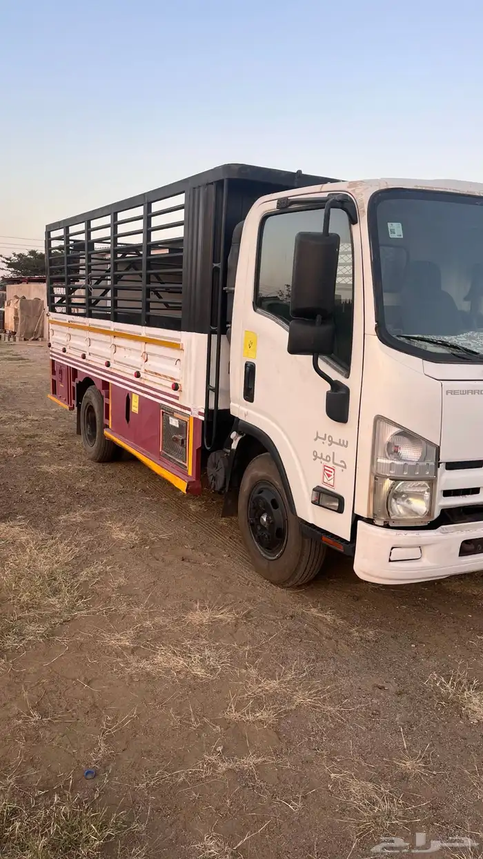 دينا ايسوزو مديل 2012 1