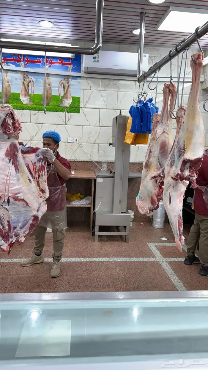 فقار حاشي بلدي ذبح يومي 1
