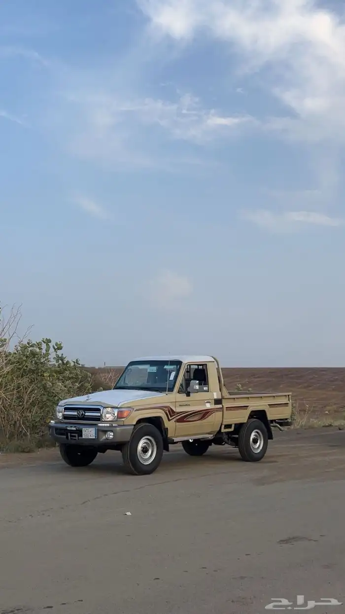 شاص مديل 2013 1