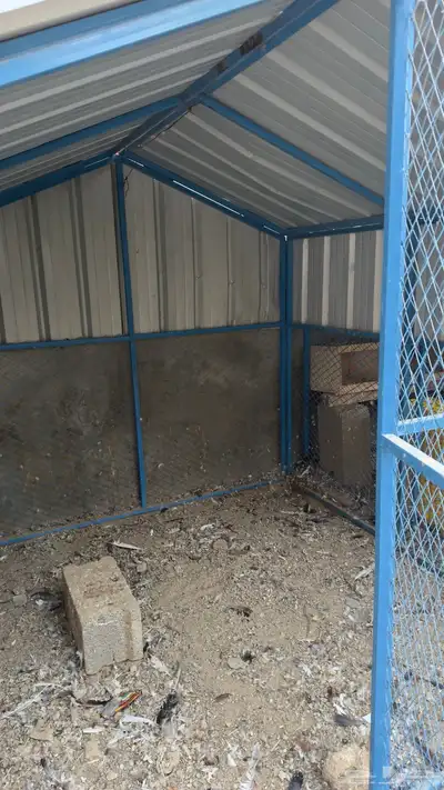 صندقه طيور index