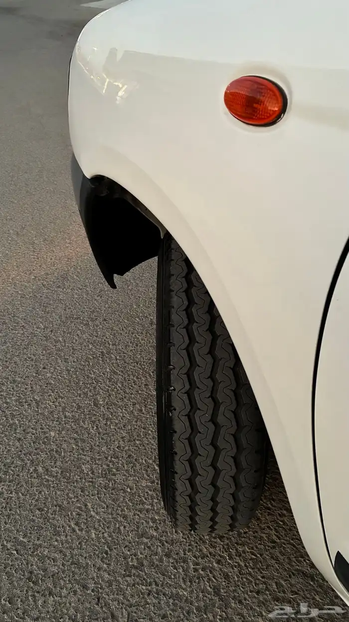 ددسن نضيف . 13