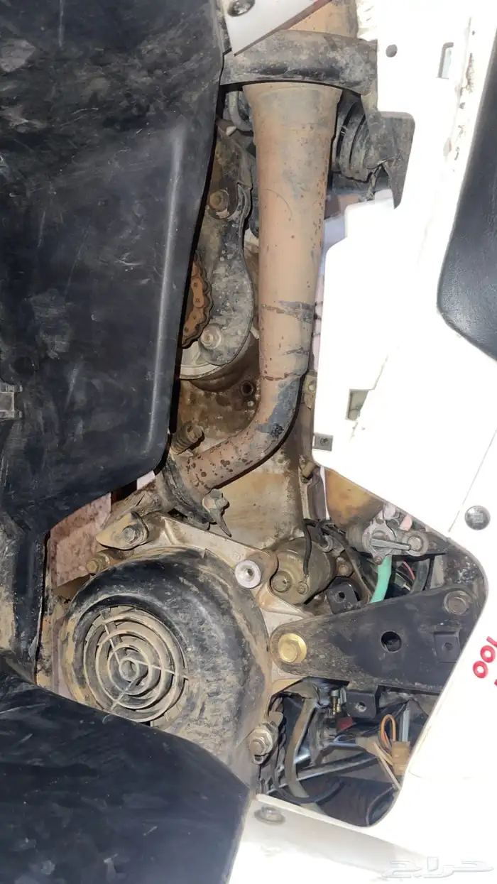 دباب حجم 100 للبيع 5