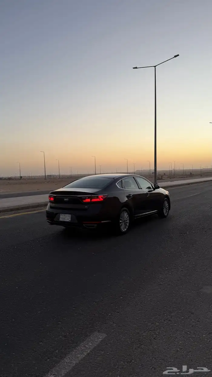 كادينزا 2018 6