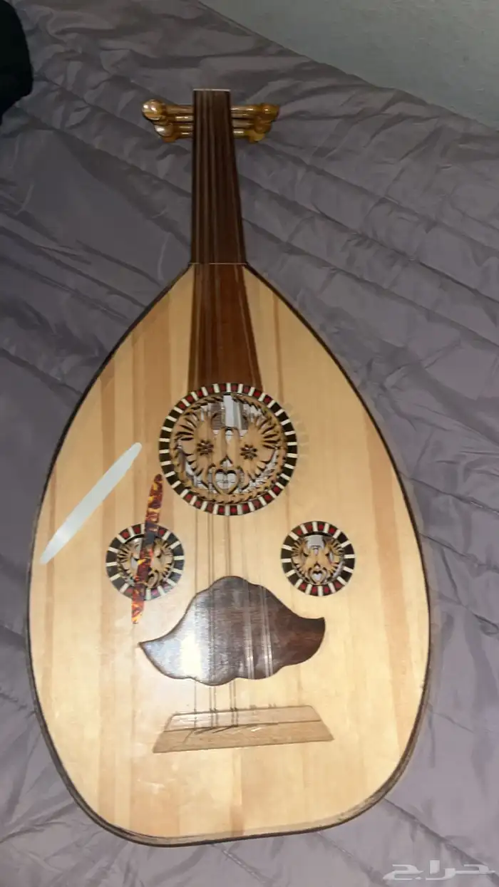 عود مصري متوسط 5