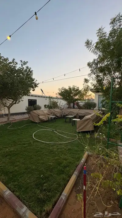 شالية للبيع index