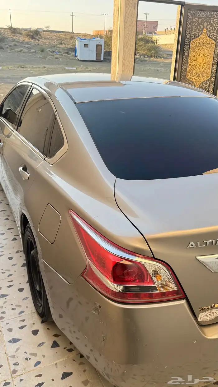 التيماء 2013 5