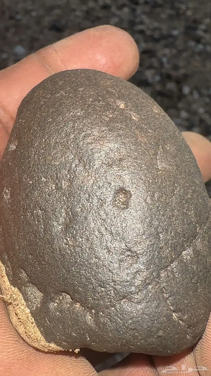 خبراء النيازك.. أفيدونا 3