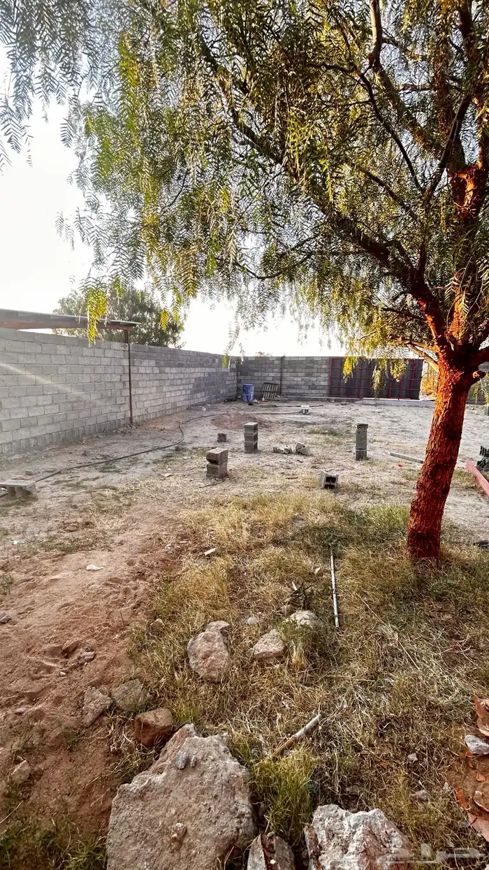 حوش غنم دواجن للاجار 6