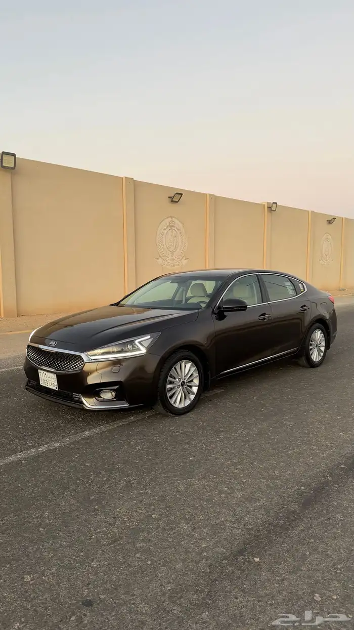 كادينزا 2018 7