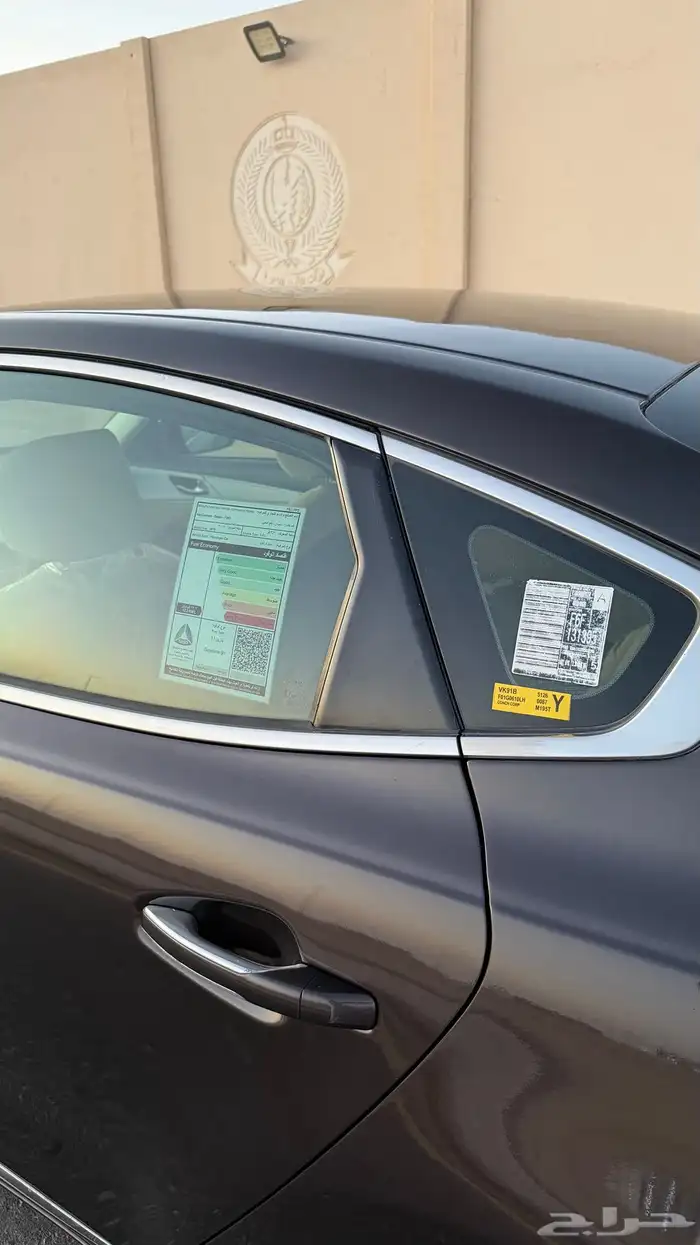 كادينزا 2018 3