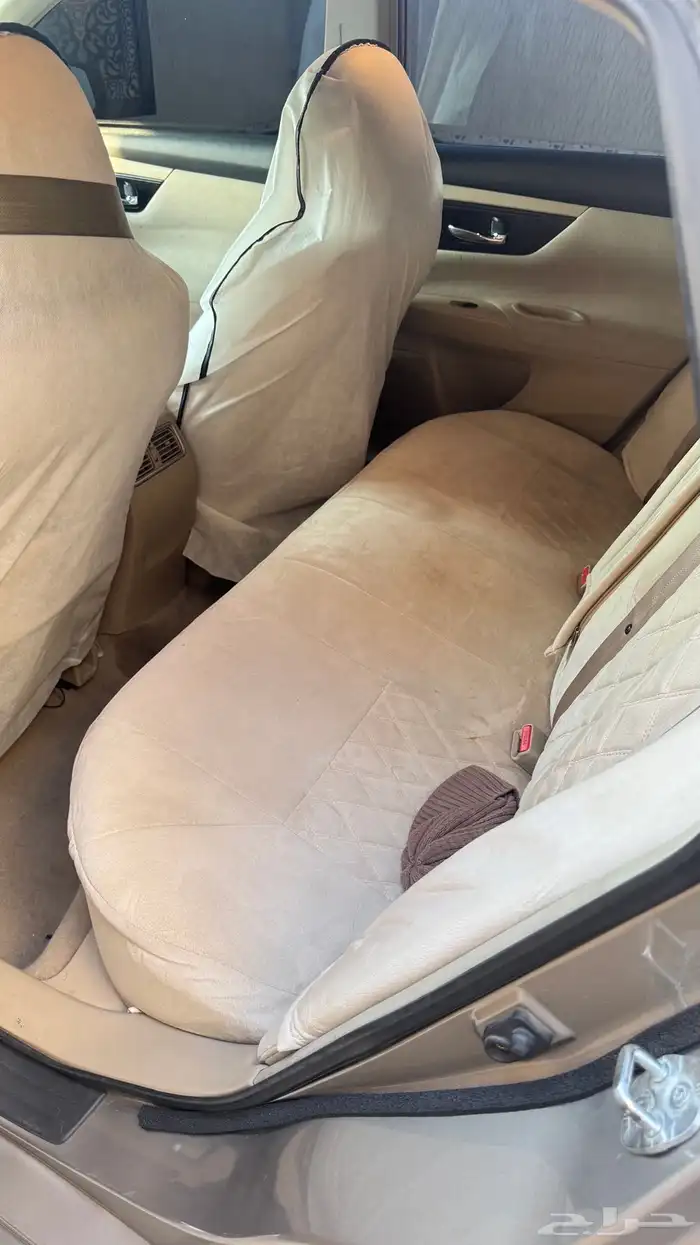 التيماء 2013 13