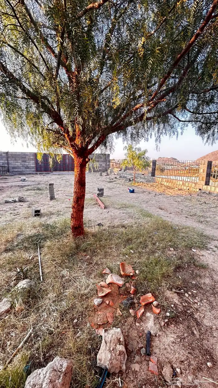 حوش غنم دواجن للاجار 3