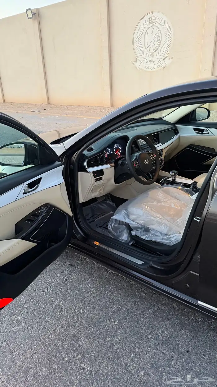 كادينزا 2018 11