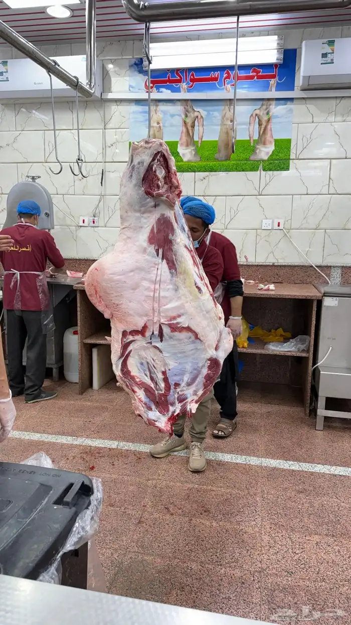 فقار حاشي بلدي ذبح يومي 0