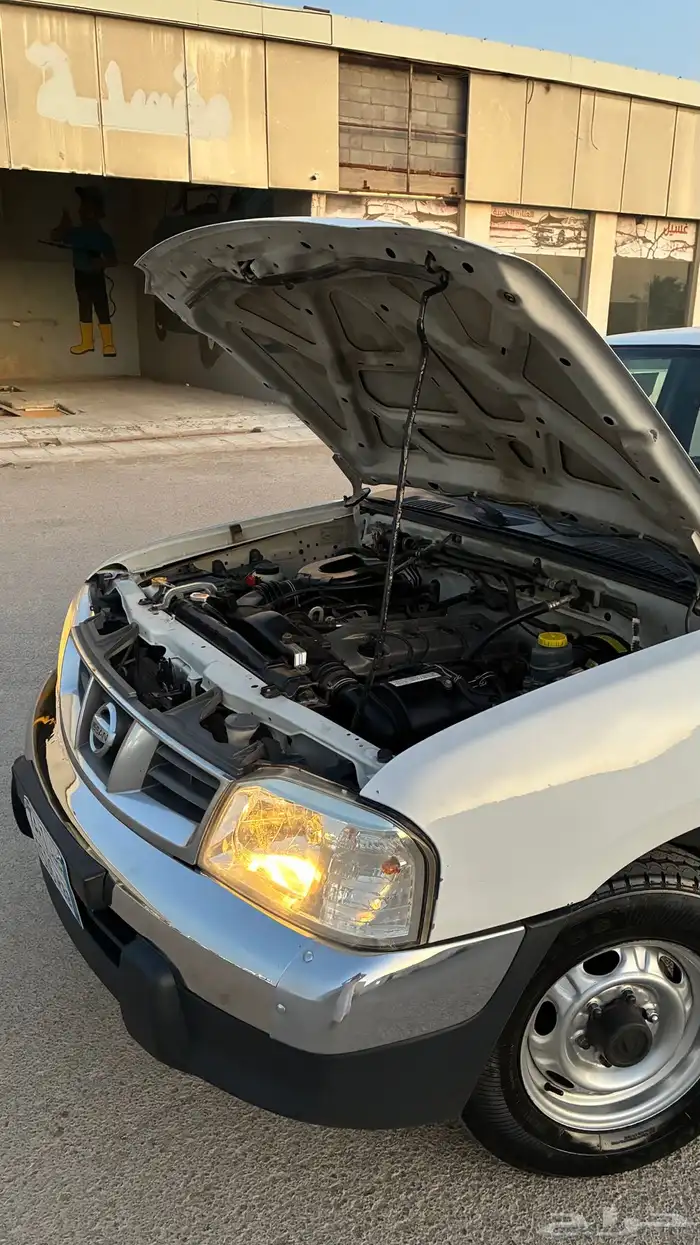 ددسن نضيف . 40