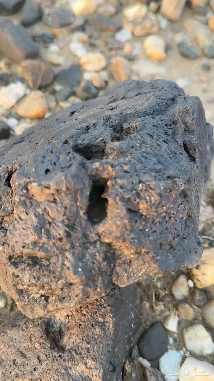 خبراء النيازك.. أفيدونا 9