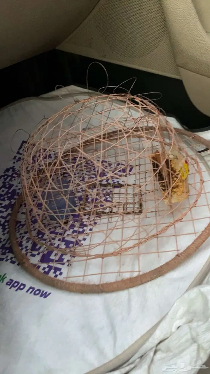 شبكة طيور مع العيون جاهزه حدي 40ريال 0