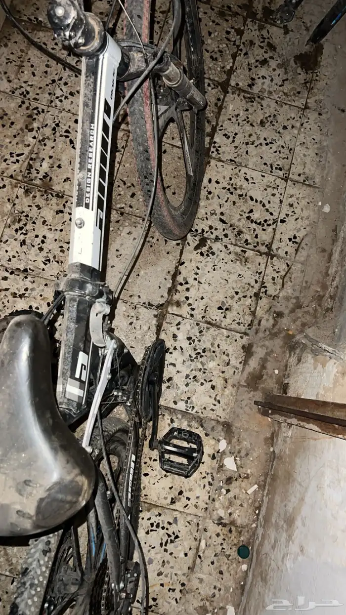 سيكل رياضي (صفط) 0