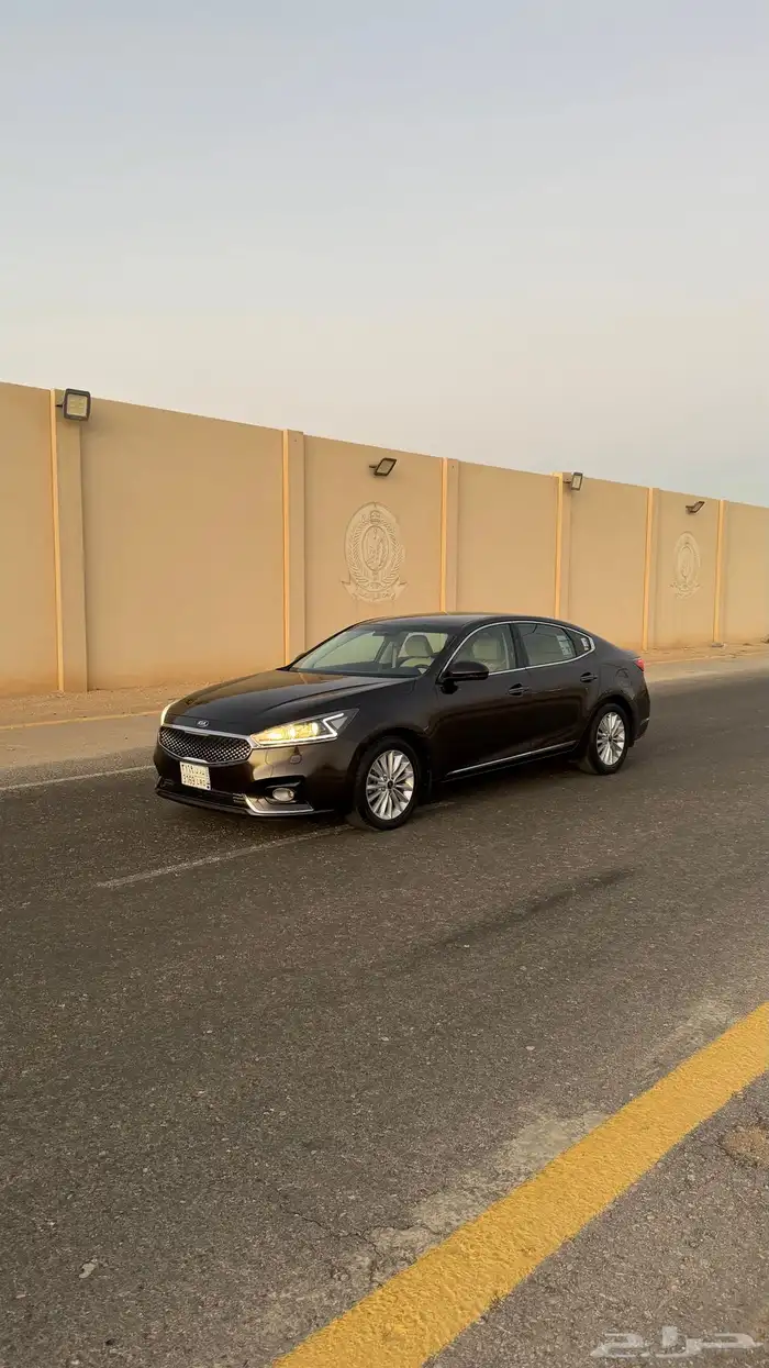 كادينزا 2018 1