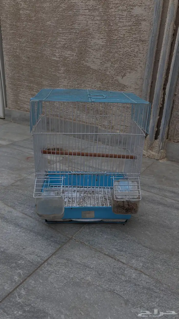 قفص عصافير 1
