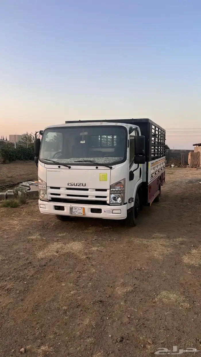 دينا ايسوزو مديل 2012 2