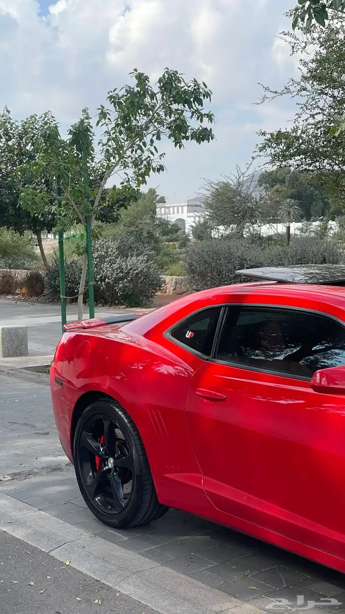 كمارو 2014 ss2 الجميح 4