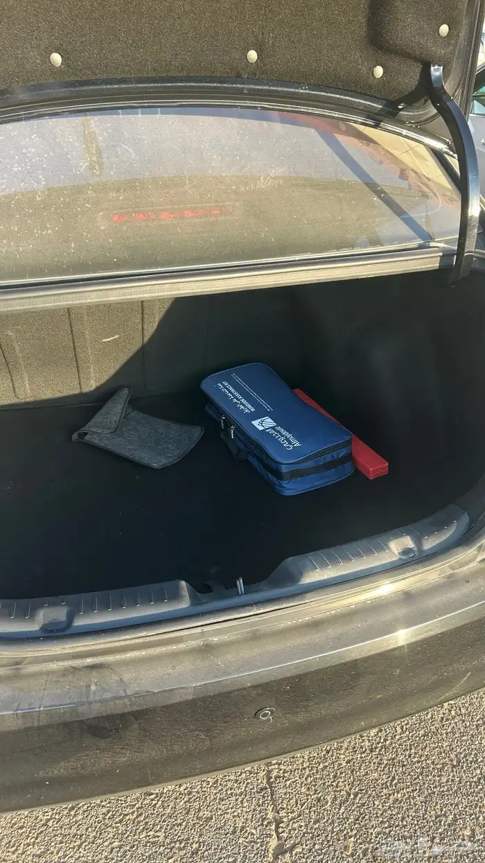 شانجان السفن 2024 6