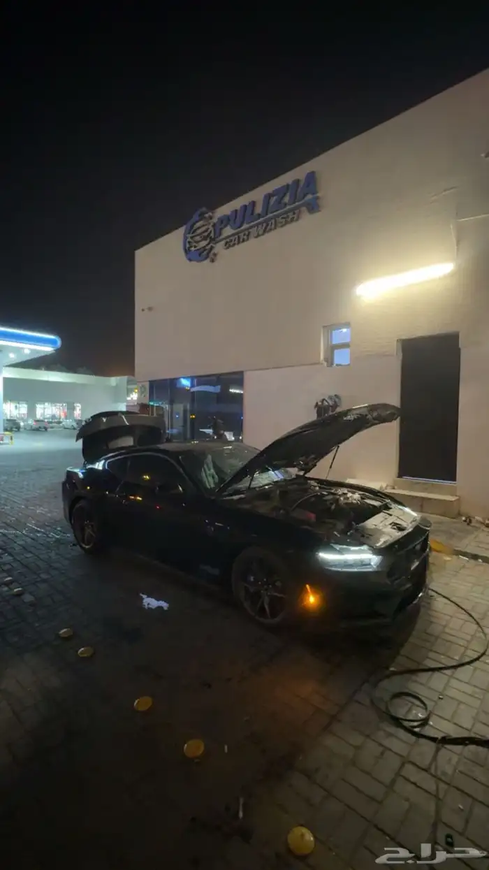 موستنق دارك هورس 2024 3