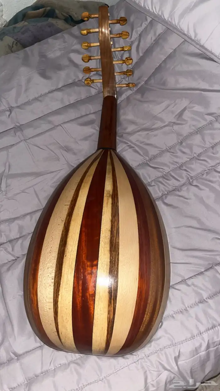 عود مصري متوسط 1