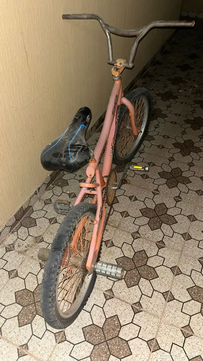 سيكل بالخرج 50 0