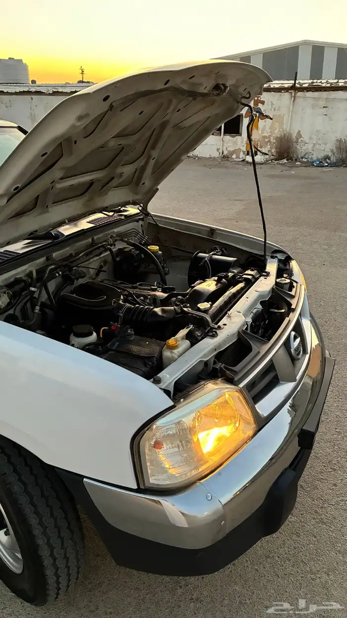 ددسن نضيف . 41