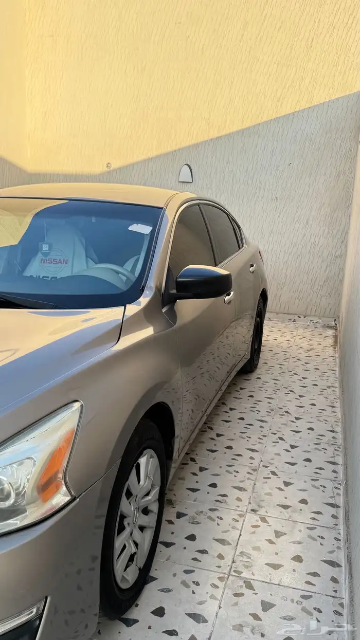 التيماء 2013 1