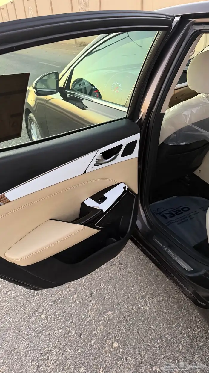 كادينزا 2018 13