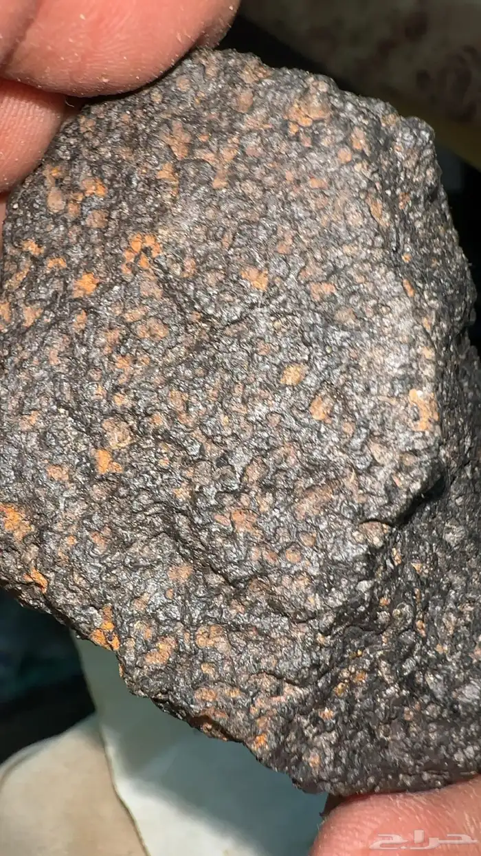 خبراء النيازك.. أفيدونا 6