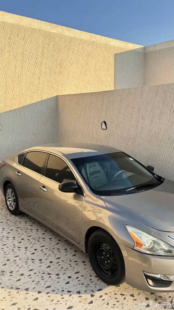 التيماء 2013 2