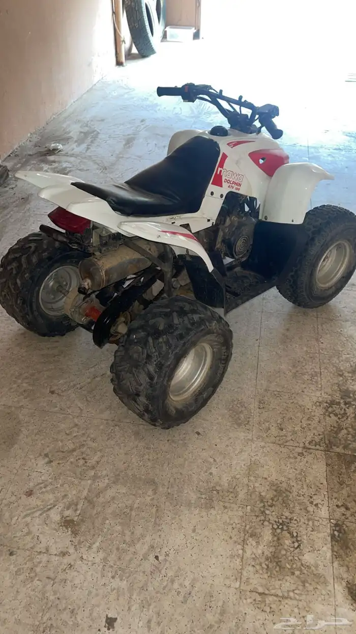 دباب حجم 100 للبيع 0