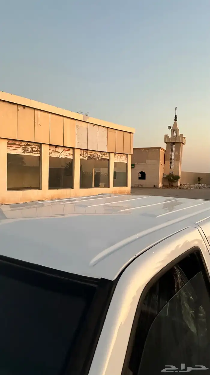 ددسن نضيف . 12