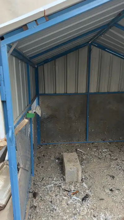 صندقه طيور index