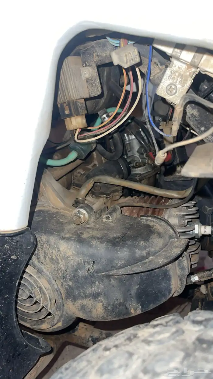 دباب حجم 100 للبيع 4