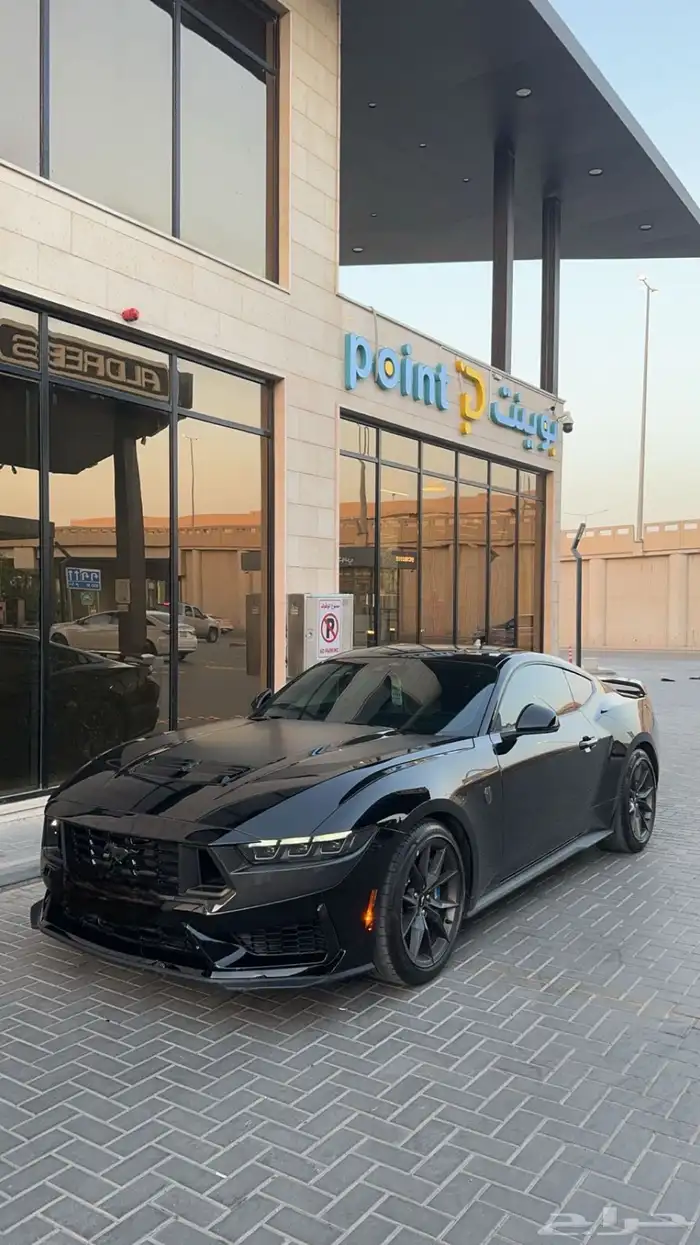 موستنق دارك هورس 2024 0