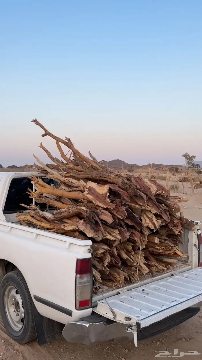 ددسن للبيع 2