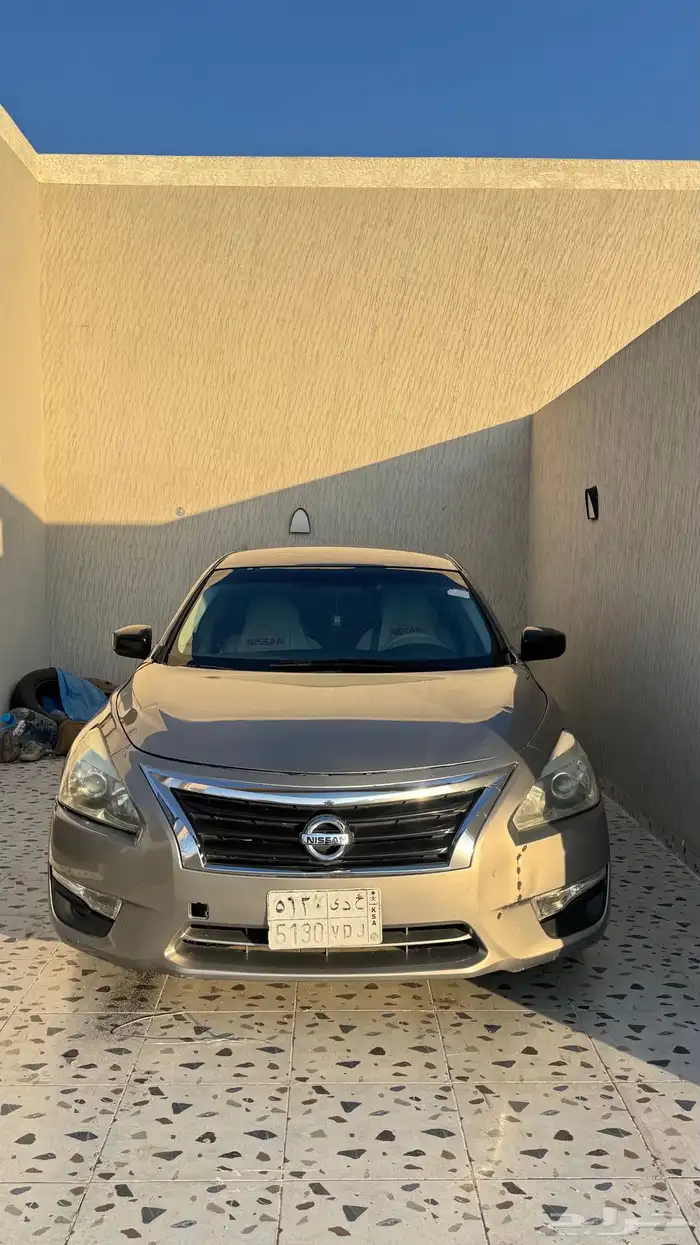 التيماء 2013 0