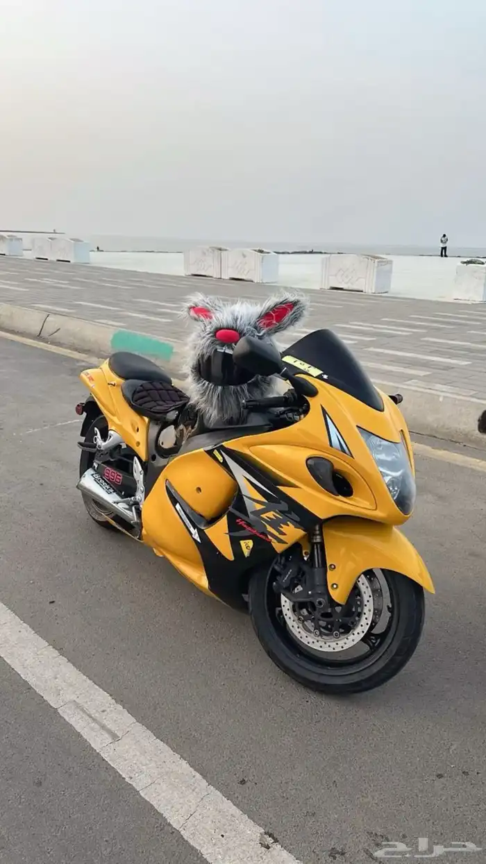 هيبوزا مديل 2009 3