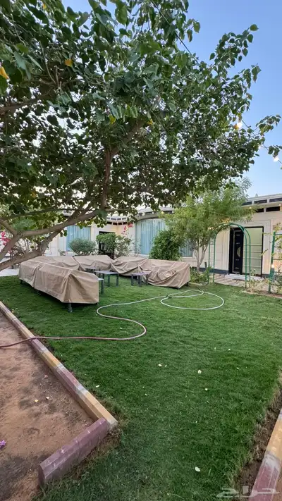 شالية للبيع index