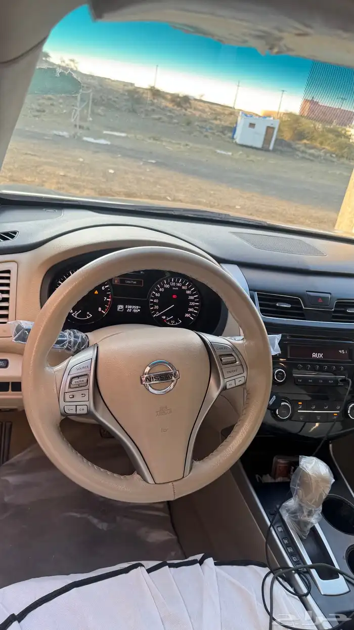 التيماء 2013 11