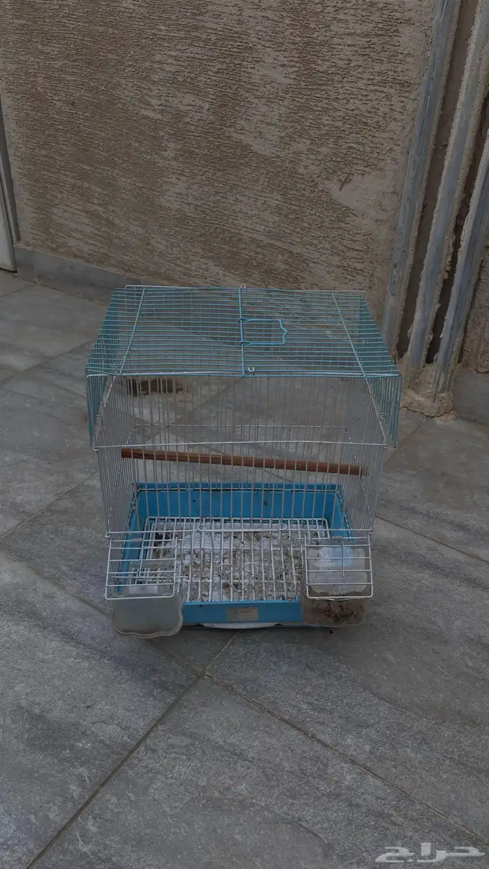 قفص عصافير 0