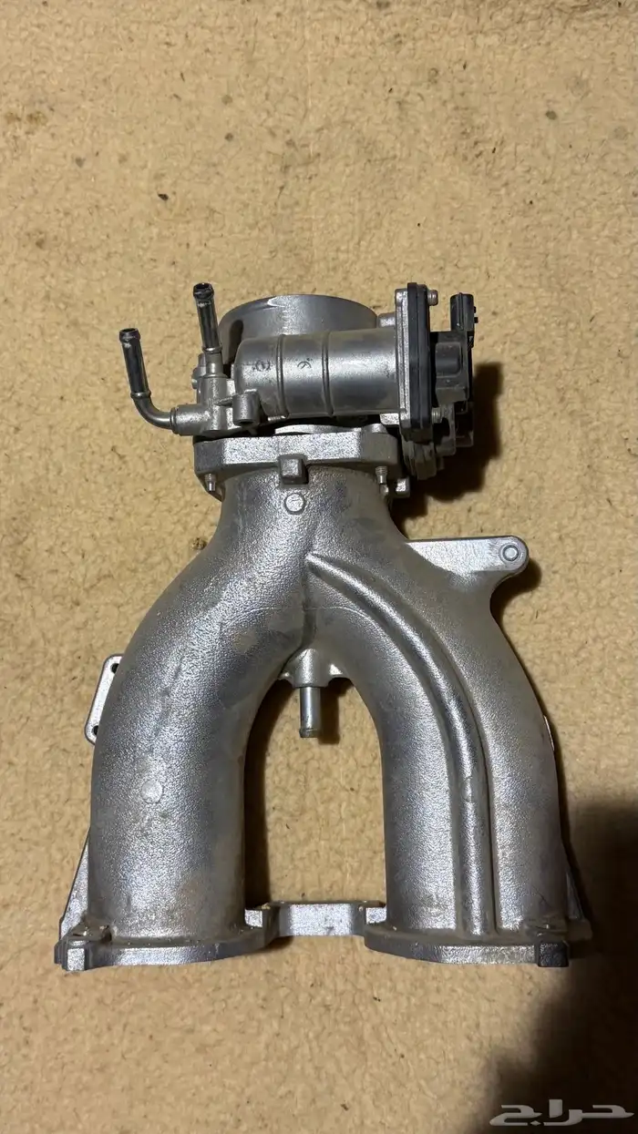 ثروتل فتك وكاله من 17 وطالع 1