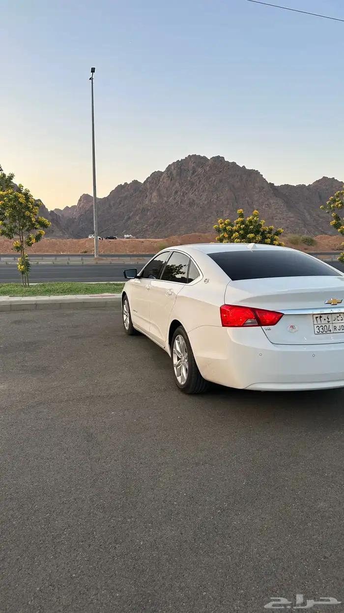 للبيع نبالا 2018 4