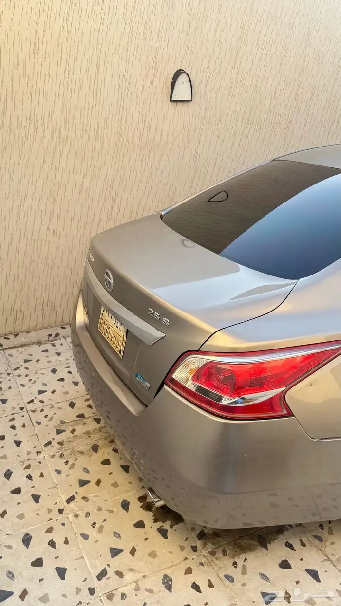 التيماء 2013 6