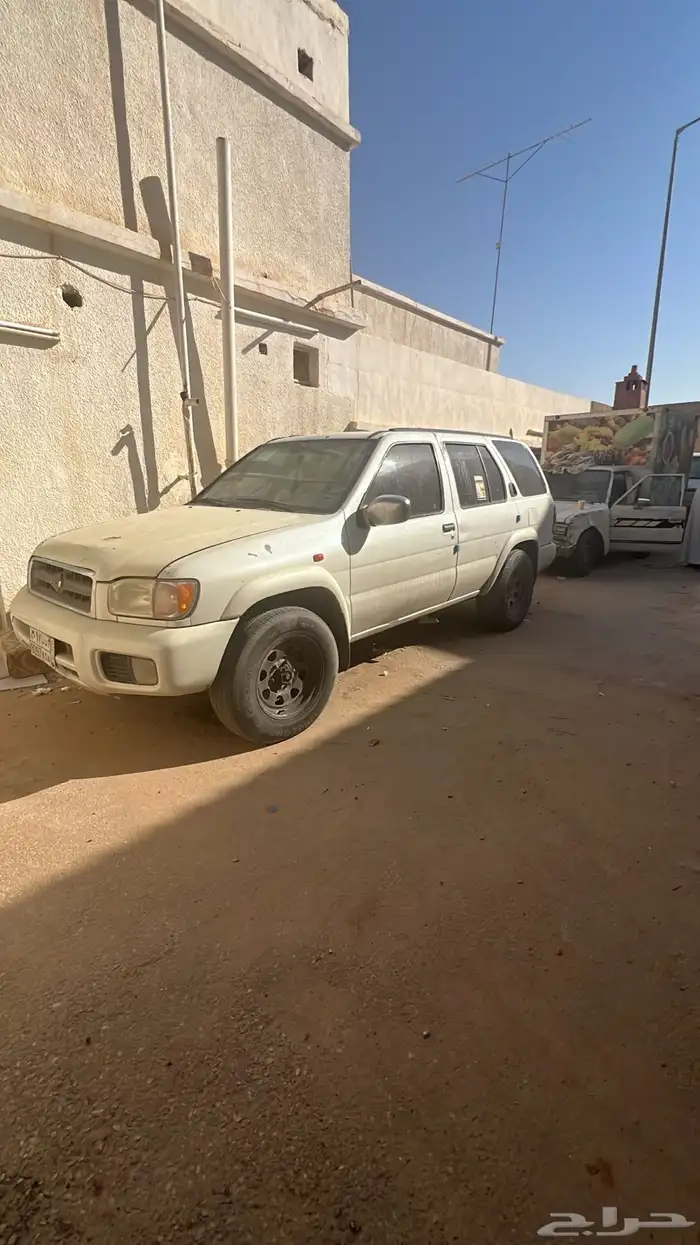 باثفندر اللبيع 2002 11